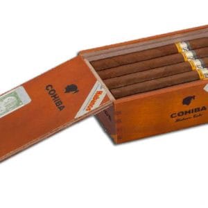 Cohiba Siglo VI – 10 điếu