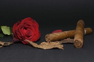 Read more about the article Hành Trình Thưởng Thức Xì Gà Từ A-Z: Lộ Trình Cho Người Mới