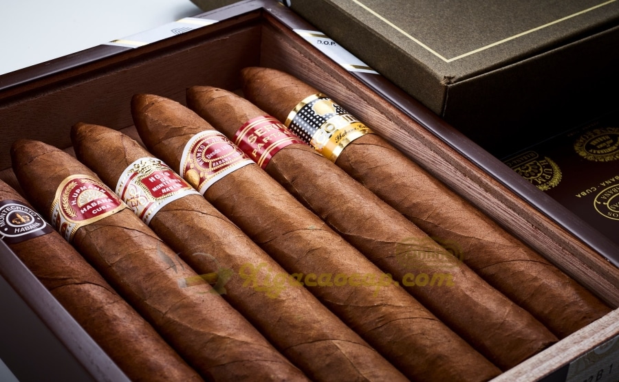 6 điếu xì gà được lựa chọn từ những lá xì gà ngon nhất của từng thương hiệu