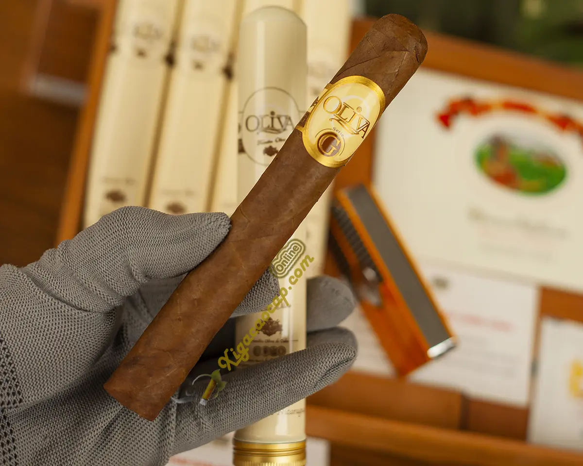 Oliva Serie G Toro Tubo cầm trên tay thực tế kích thước Toro