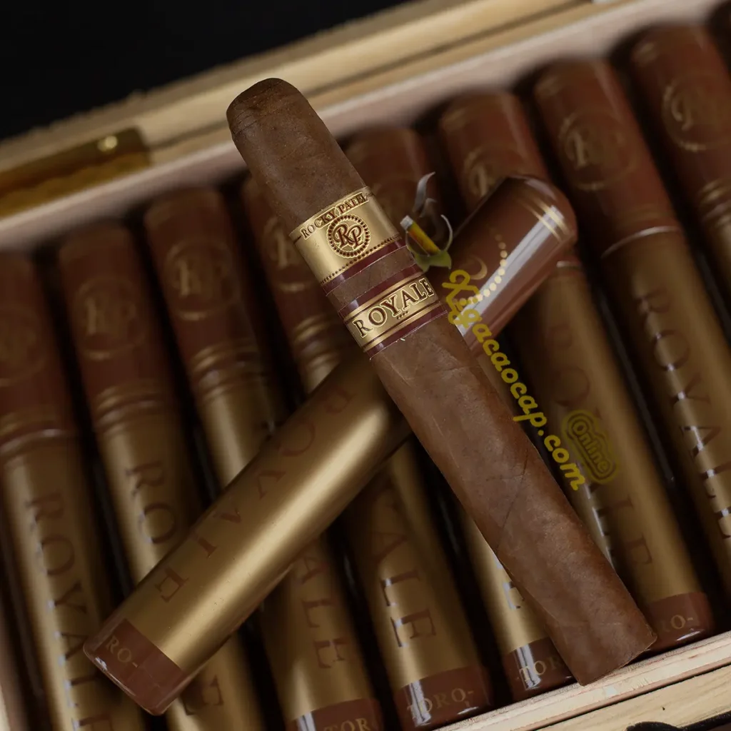 Cận cảnh ống nhôm Tubo bảo quản gỗ tuyết tùng của xì gà Rocky Patel Royale