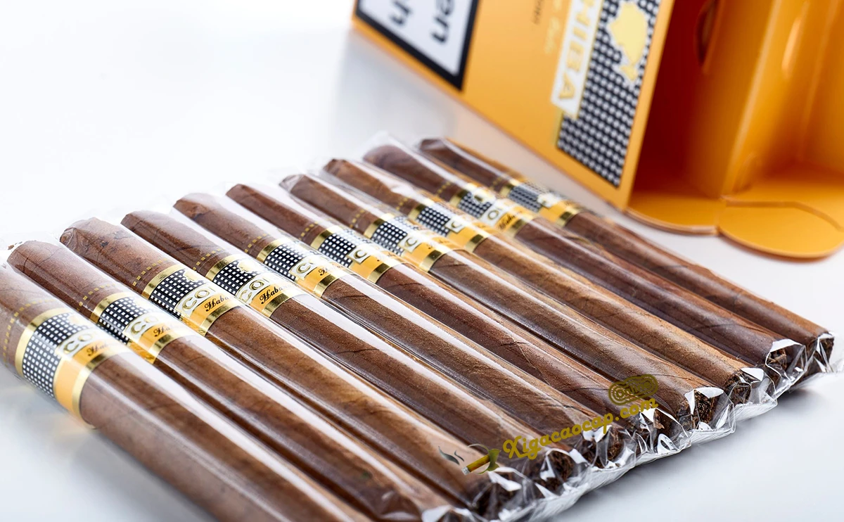 Cận cảnh lá ngoài và tem nhẫn xì gà Cohiba Short