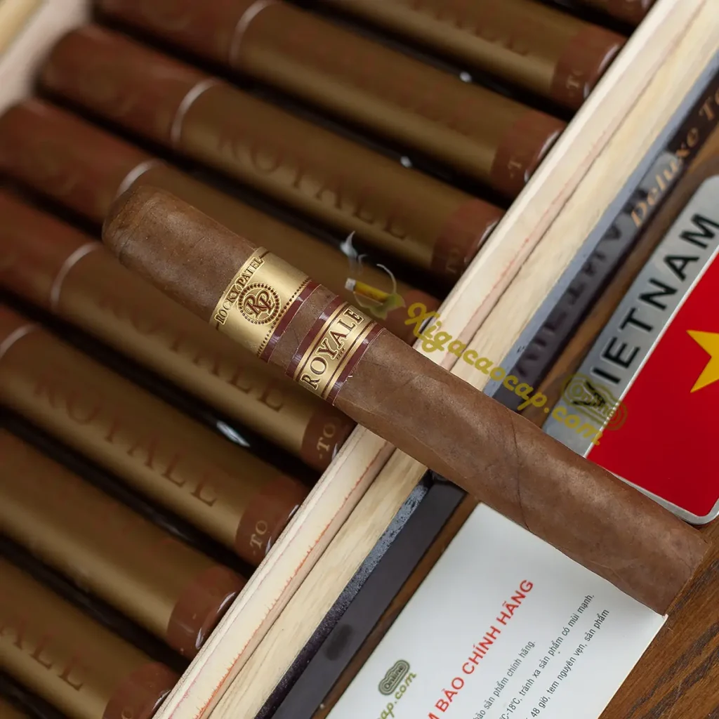 Cận cảnh bề mặt lá ngoài Ecuador Sumatra của cigar Rocky Patel Royale
