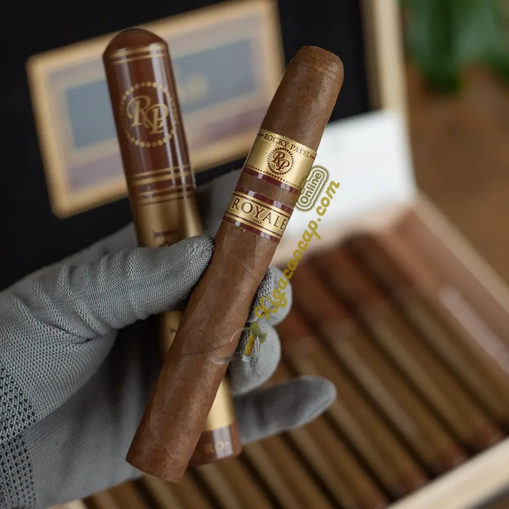 Đánh giá thực tế trên tay điếu cigar Rocky Patel Royale Toro