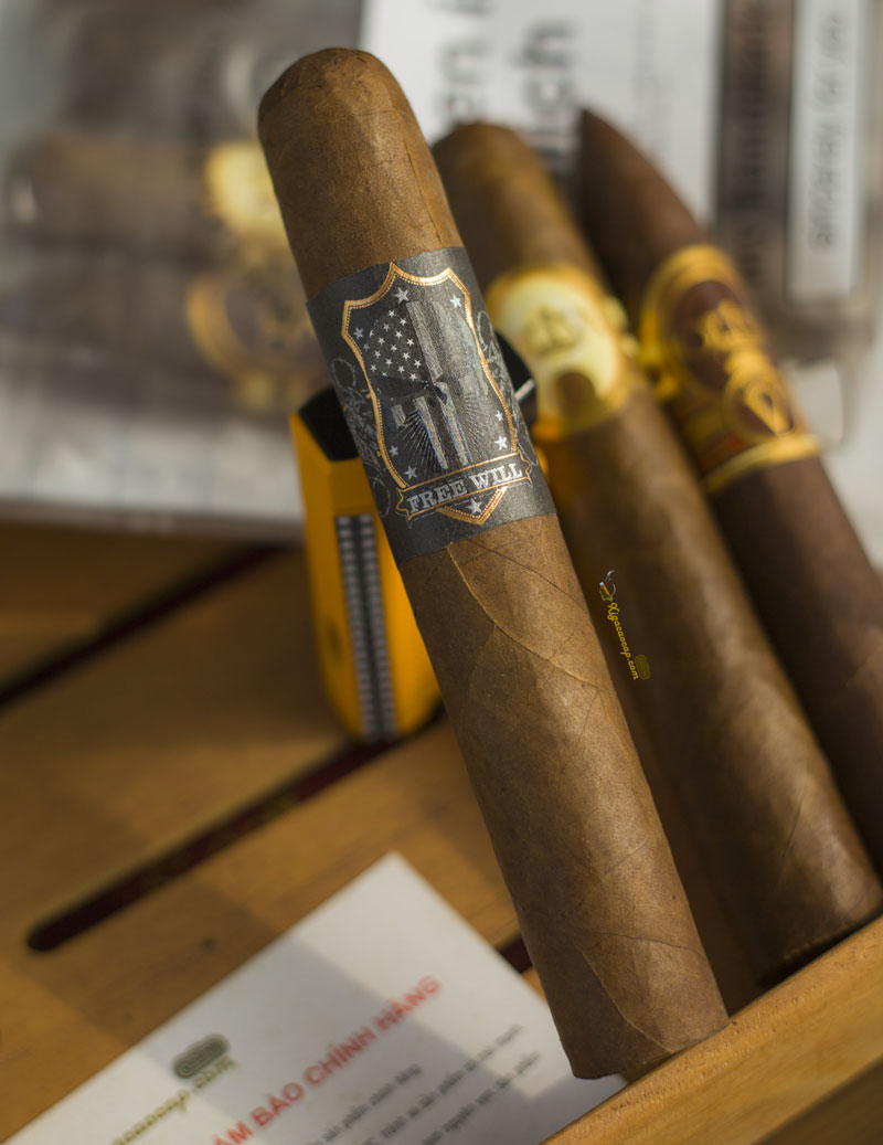 Tự do và phóng khoáng như chính cái tên, Freewill mang lại hương vị cân bằng giữa gỗ tuyết tùng, cacao đắng và chút cay nhẹ ở hậu vị.