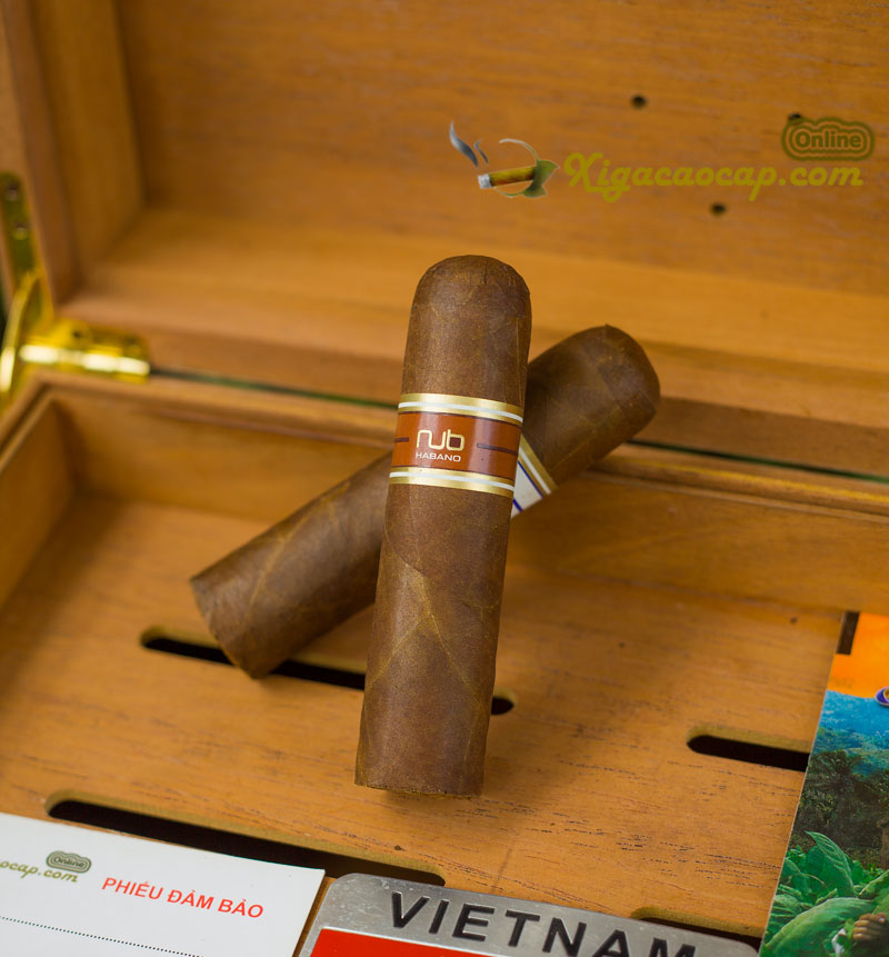 Nub là dòng cigar độc đáo của thương hiệu Oliva nổi tiếng, được thiết kế với kích thước mập và ngắn