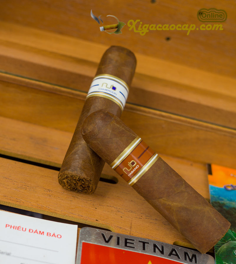 Thời gian hút khoảng 45–60 phút, thưởng thức hương vị cigar mạnh trong form ngắn gọn, tiện lợi.