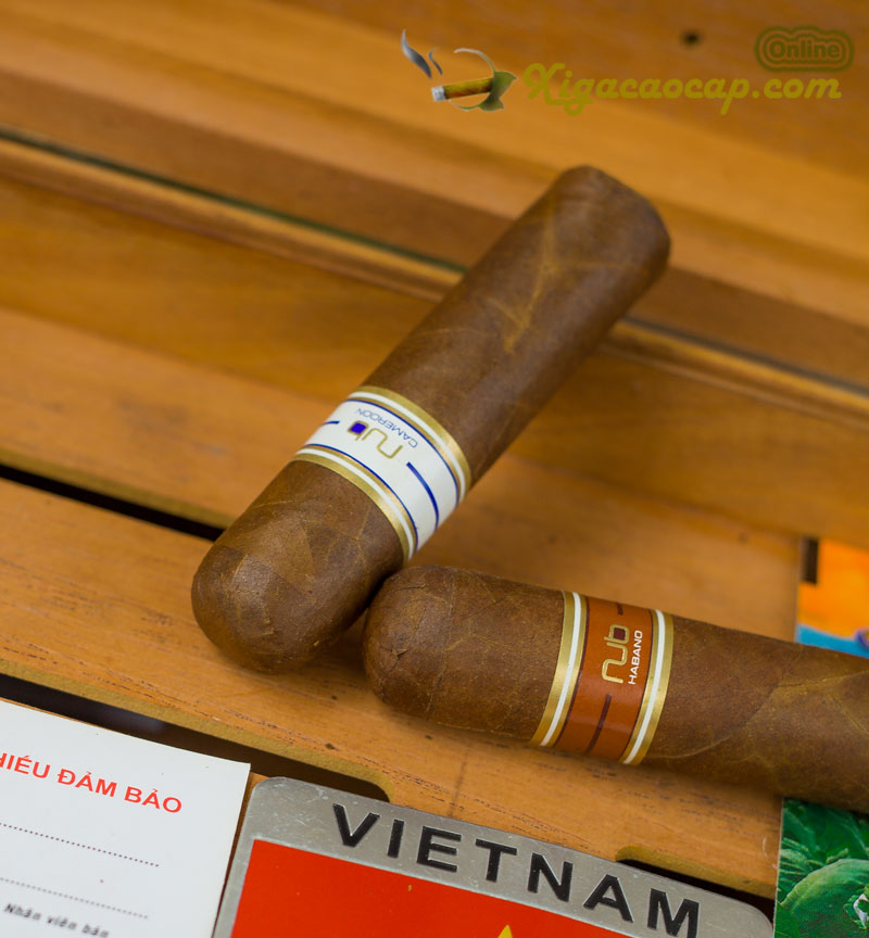 Oliva Nub Hút êm, cháy thẳng, không đắng. Phù hợp kết hợp với scotch hoặc cà phê