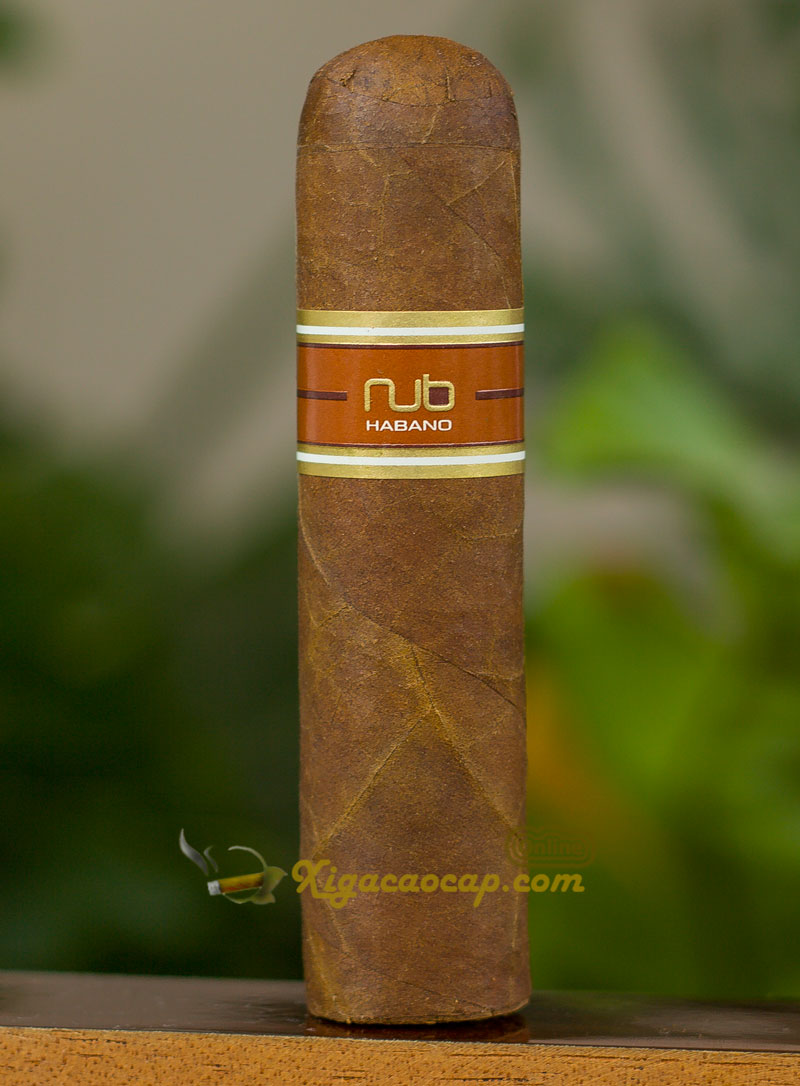 xì gà Oliva Nub ngọt nhẹ từ lá thuốc, nhưng chủ đạo là sự cay nồng từ tiêu trắng và gia vị Habano