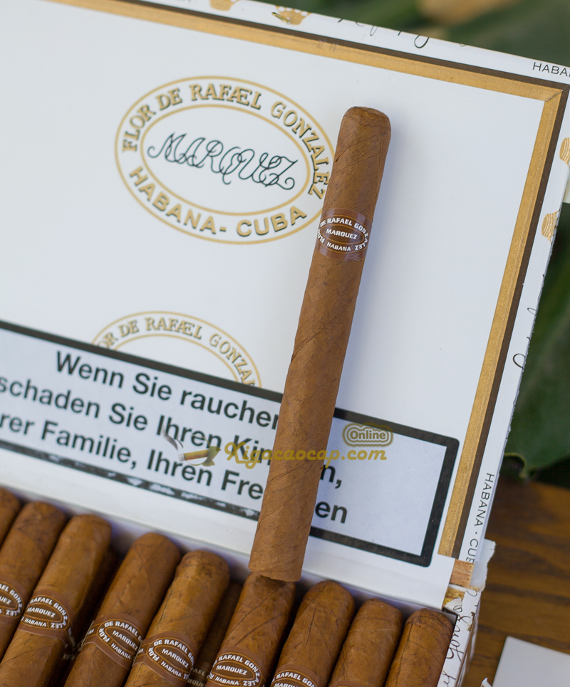 Tất cả cigar Flor De Rafael González đều sử dụng lá thuốc từ vùng Vuelta Abajo (Pinar del Río, Cuba) – vùng đất được xem là “thánh địa của thuốc lá cigar”