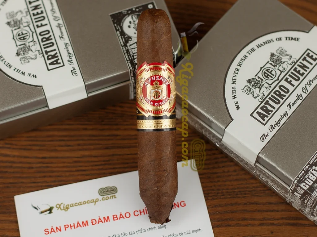 Cận cảnh đầu perfecto xì gà Arturo Fuente Hemingway Short Story