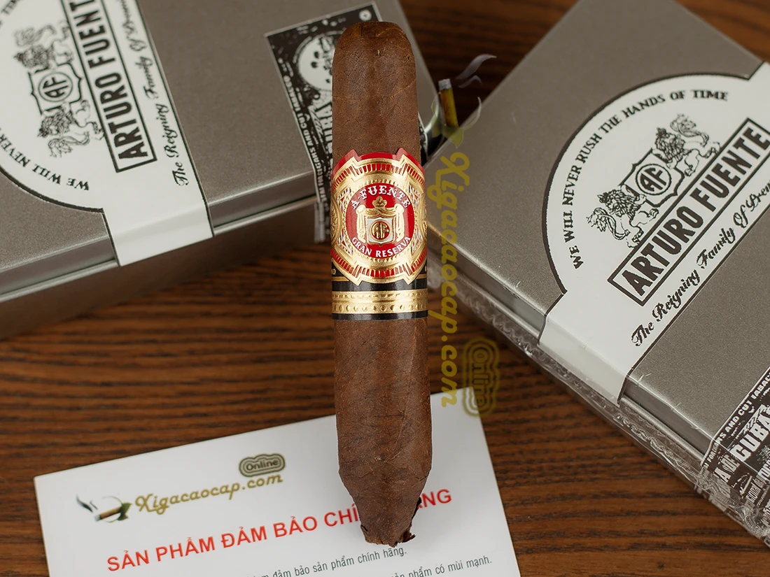 Cận cảnh đầu perfecto xì gà Arturo Fuente Hemingway Short Story