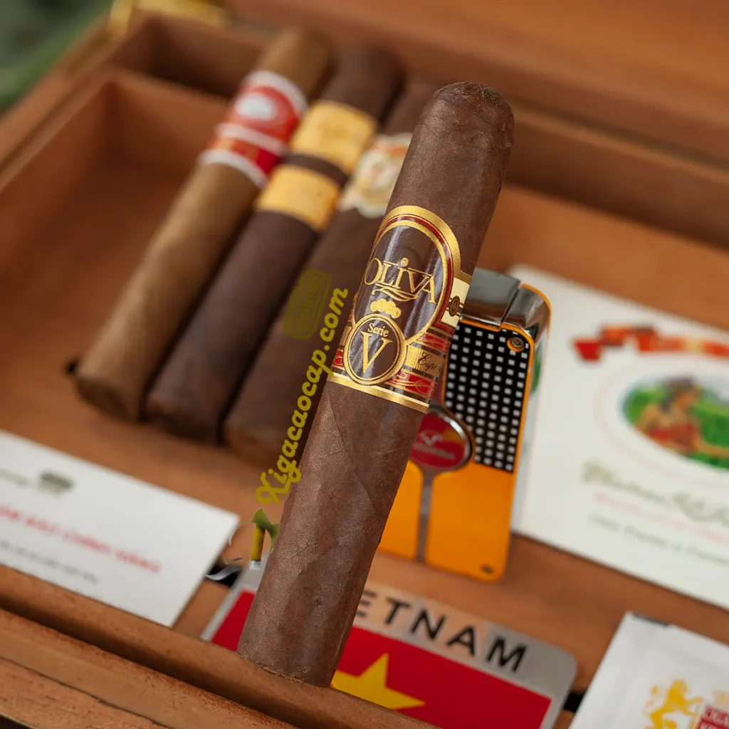 Xì gà Oliva Serie V 54x5 Nicaragua