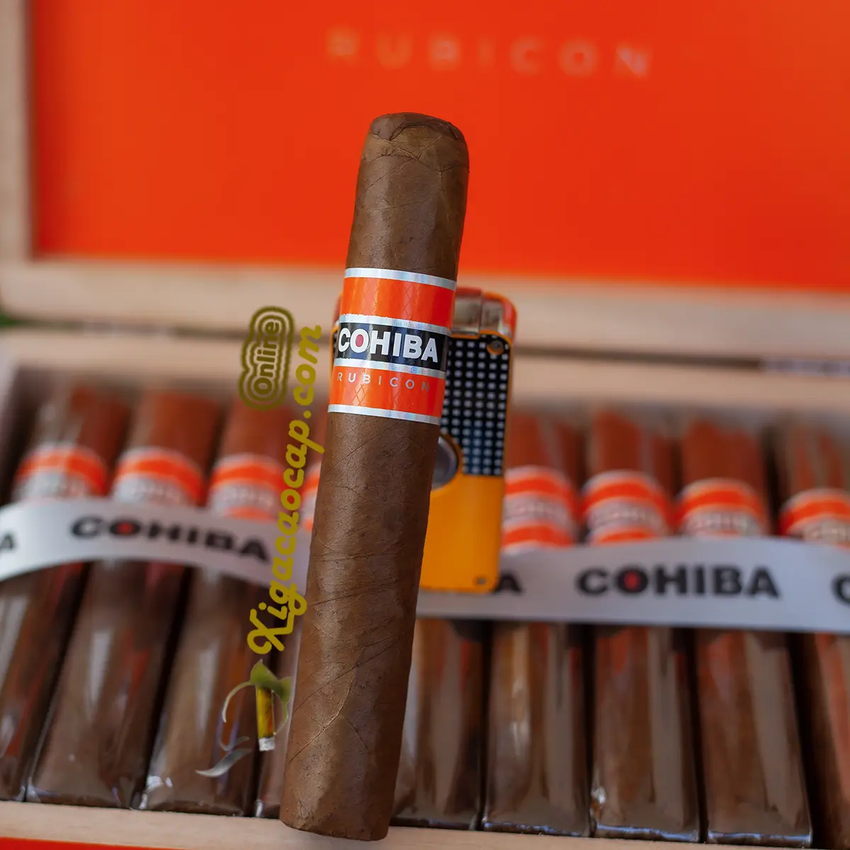 Chi tiet la quan xi ga Cohiba Rubicon Gigante min va bong dau