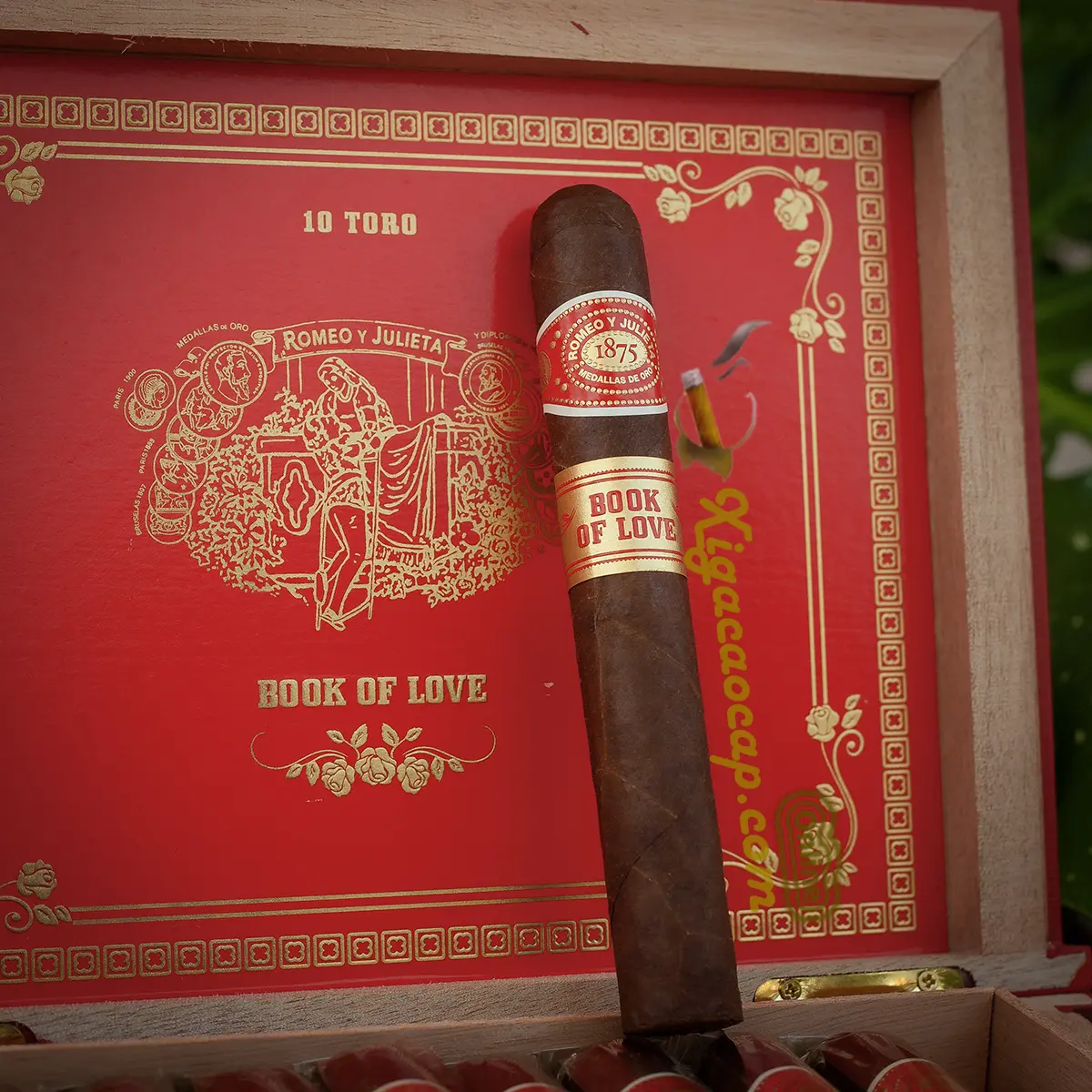 Logo thương hiệu Romeo y Julieta chính hãng in nổi bên trong nắp hộp Book of Love