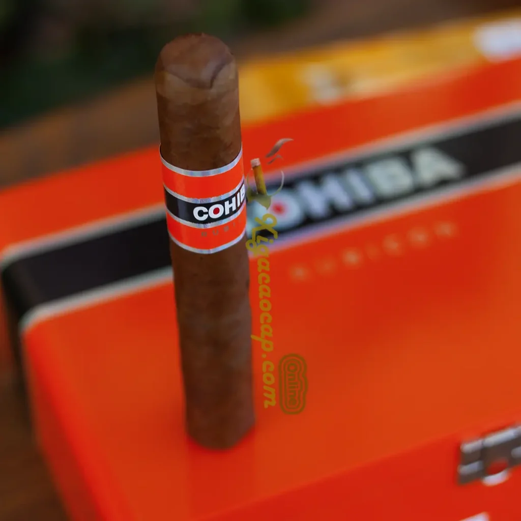 Xi ga le Cohiba Rubicon Gigante dat truoc hop go