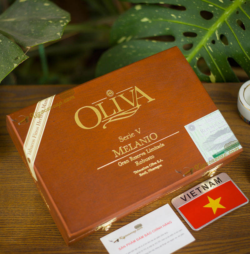 Hộp 10 điếu Oliva được chế tác tinh tế với lớp gỗ bóng đẹp, lót gỗ tuyết tùng bên trong