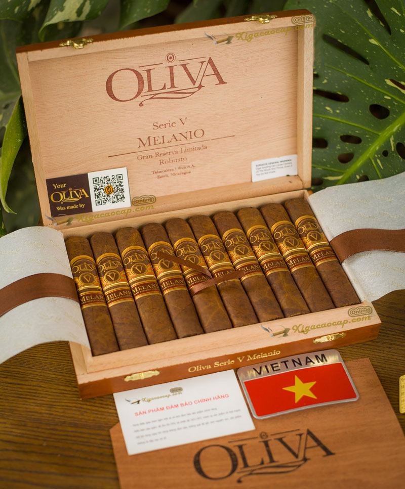 10 điếu Oliva Melanio hoàn hảo, kích thước to vừa tay, dễ cầm,