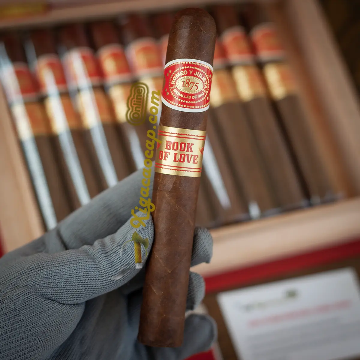 Cầm trên tay điếu xì gà Romeo y Julieta Book of Love Toro lá cuốn óng ả