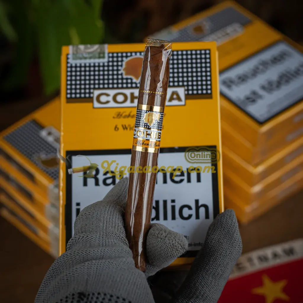Trên tay điếu và hộp xì gà Cohiba Wide Short chính hãng Cuba