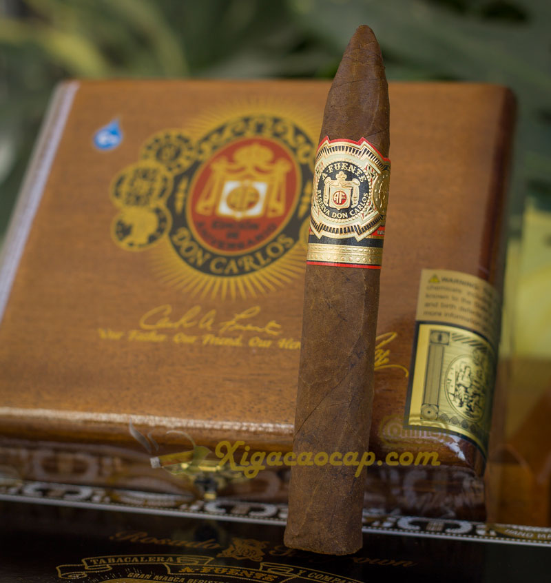 Dòng Don Carlos được đặt theo tên của Carlos Fuente Sr., người cha quá cố