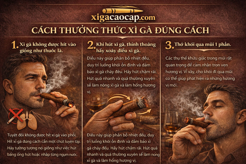 Kỹ thuật Thở ngược (Retrohale xì gà – Nâng tầm hương vị):