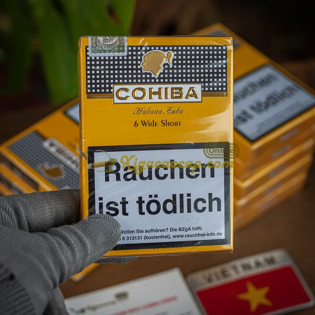 Cầm trên tay hộp xì gà Cohiba Wide Short 6 điếu