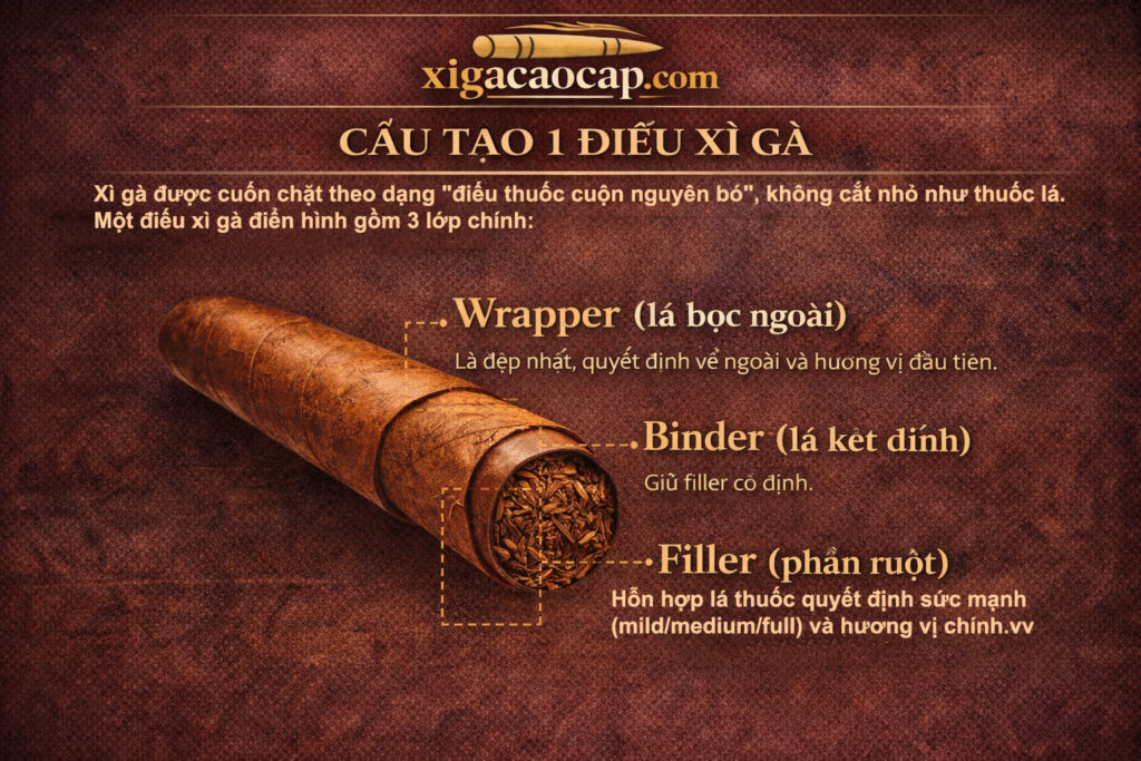 Cấu Tạo 1 Điếu Xì Gà