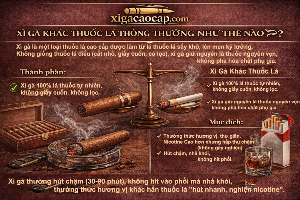 Xì Gà Khác Thuốc Lá Thông Thường Như Thế Nào?