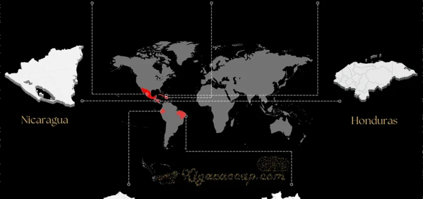 Bản đồ các vùng trồng lá thuốc xì gà nổi tiếng trên thế giới