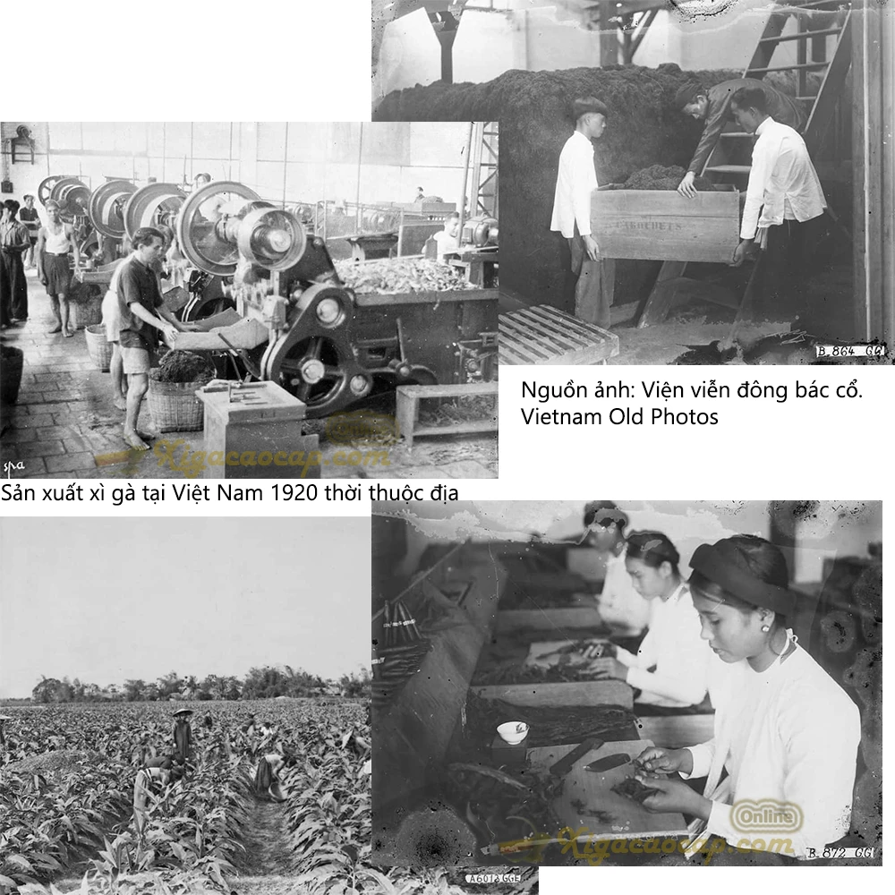 Lịch sử sản xuất xì gà Việt Nam