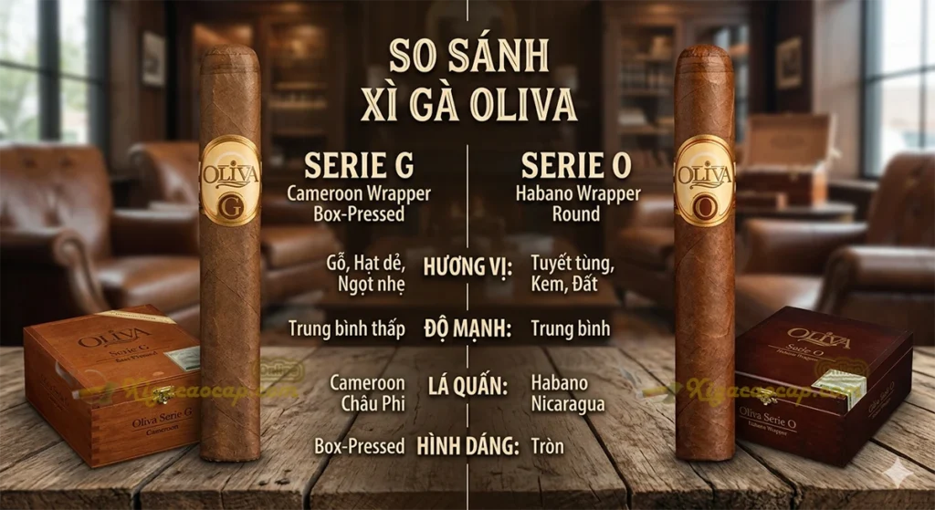 So Sánh Oliva Serie G vs Serie O