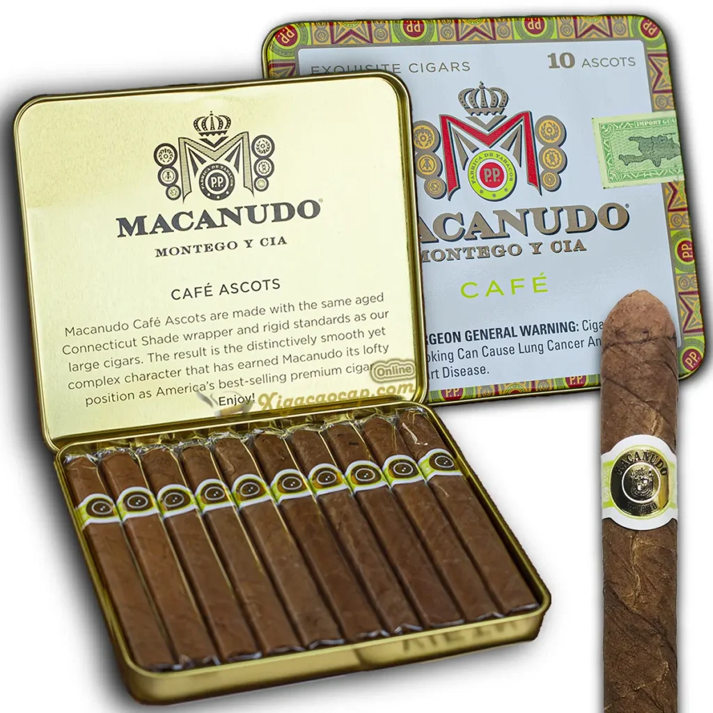 Xì gà mini Macanudo Cafe Ascots hộp thiếc 10 điếu chính hãng