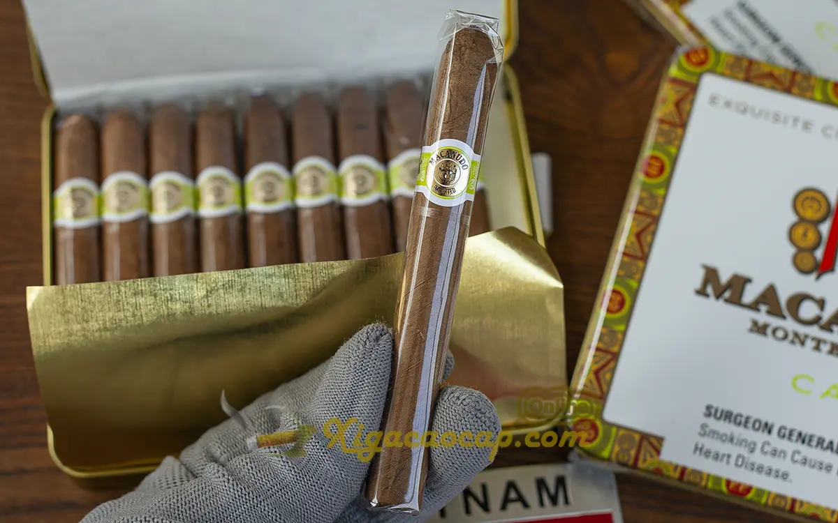 Cầm xì gà Macanudo Cafe Ascots mini trên tay nhỏ gọn