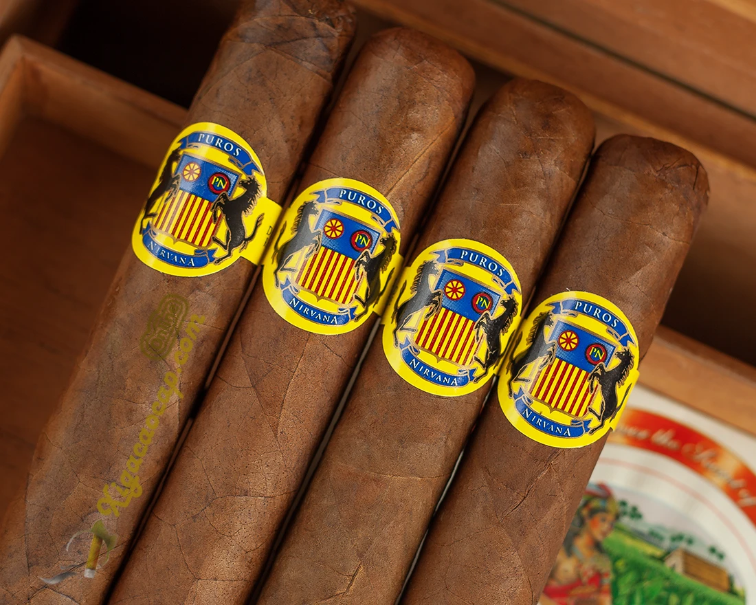 cận cảnh điếu xì gà Puros Nirvana lá cuốn đều đẹp