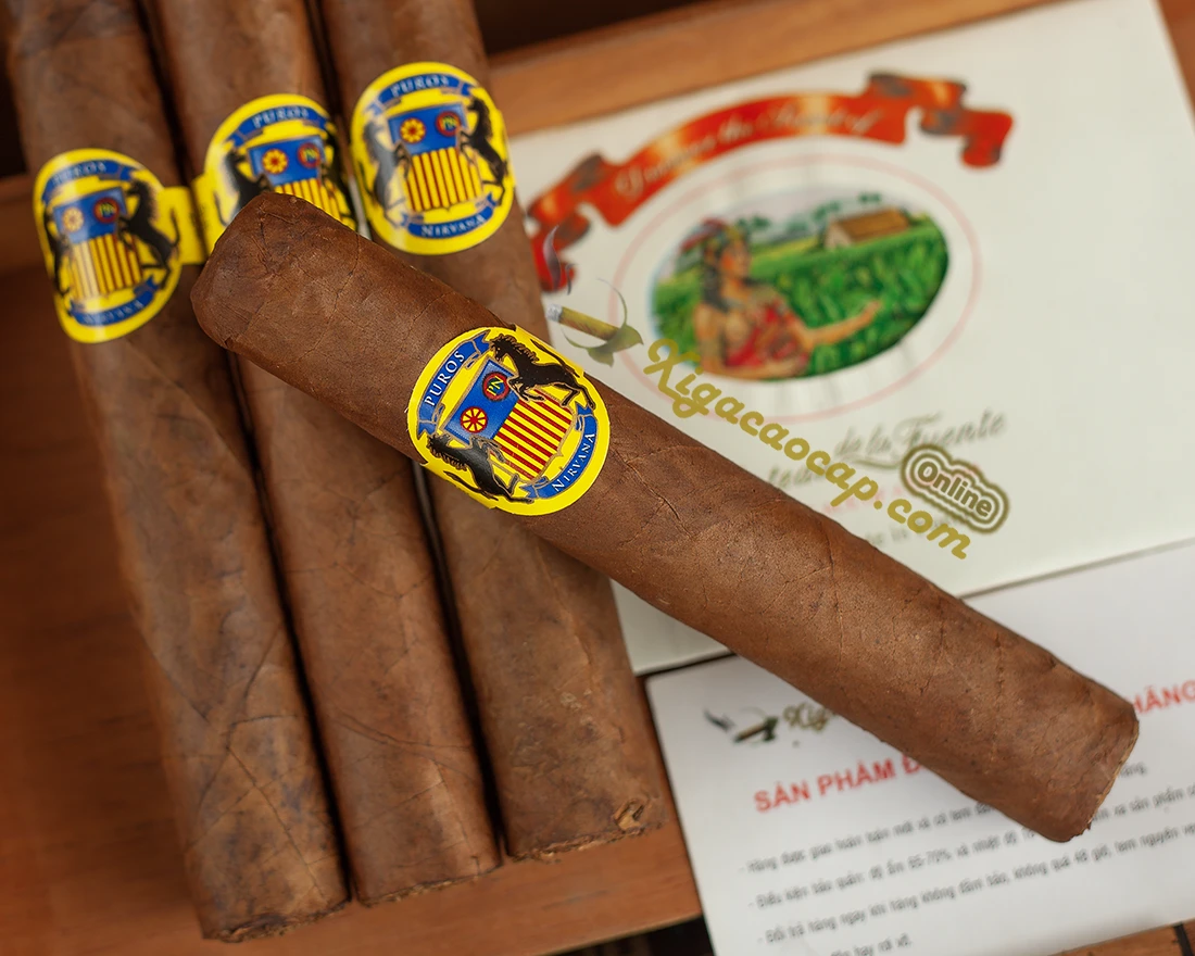 xì gà Puros Nirvana phong cách thư giãn giá rẻ dễ tiếp cận