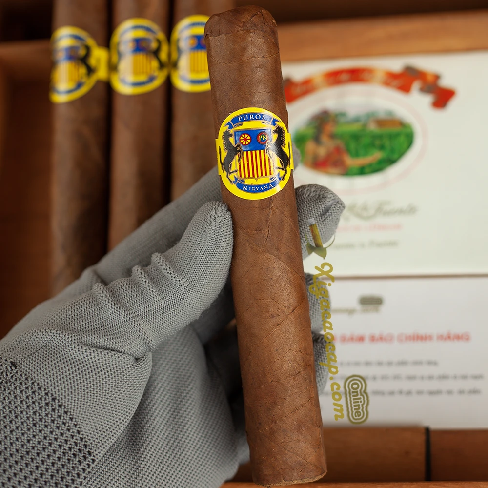 xì gà Puros Nirvana cầm trên tay thể hiện kích thước lớn