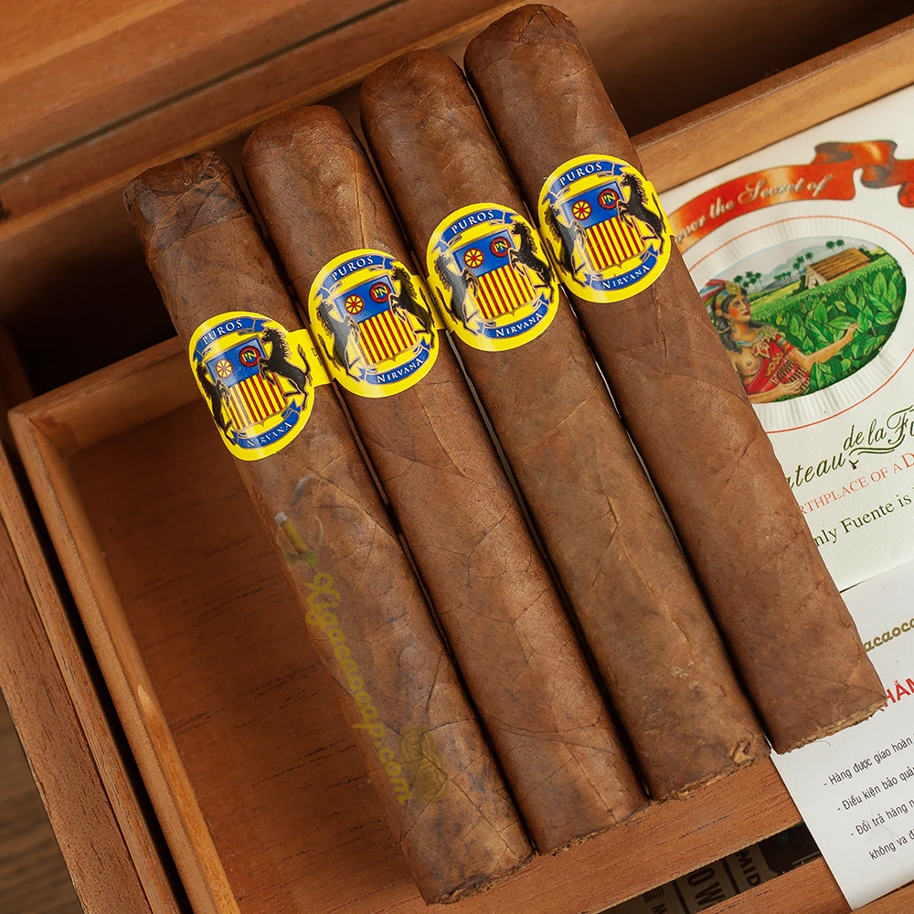 xì gà Puros Nirvana điếu to giá rẻ chất lượng ổn định