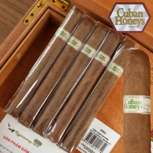 Xì gà sữa Cuban Honeys gói 5 điếu hương kem vani cafe phong cách xì gà Cuba