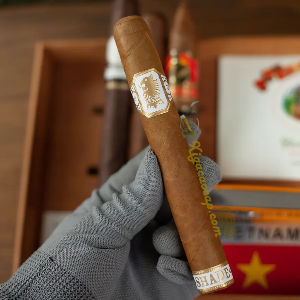 Trên tay điếu xì gà Liga Privada Undercrown Shade