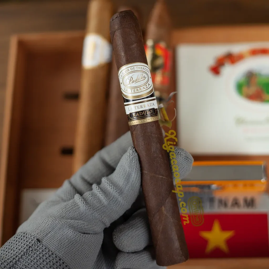 Trên tay điếu xì gà Padilla La Terraza Maduro