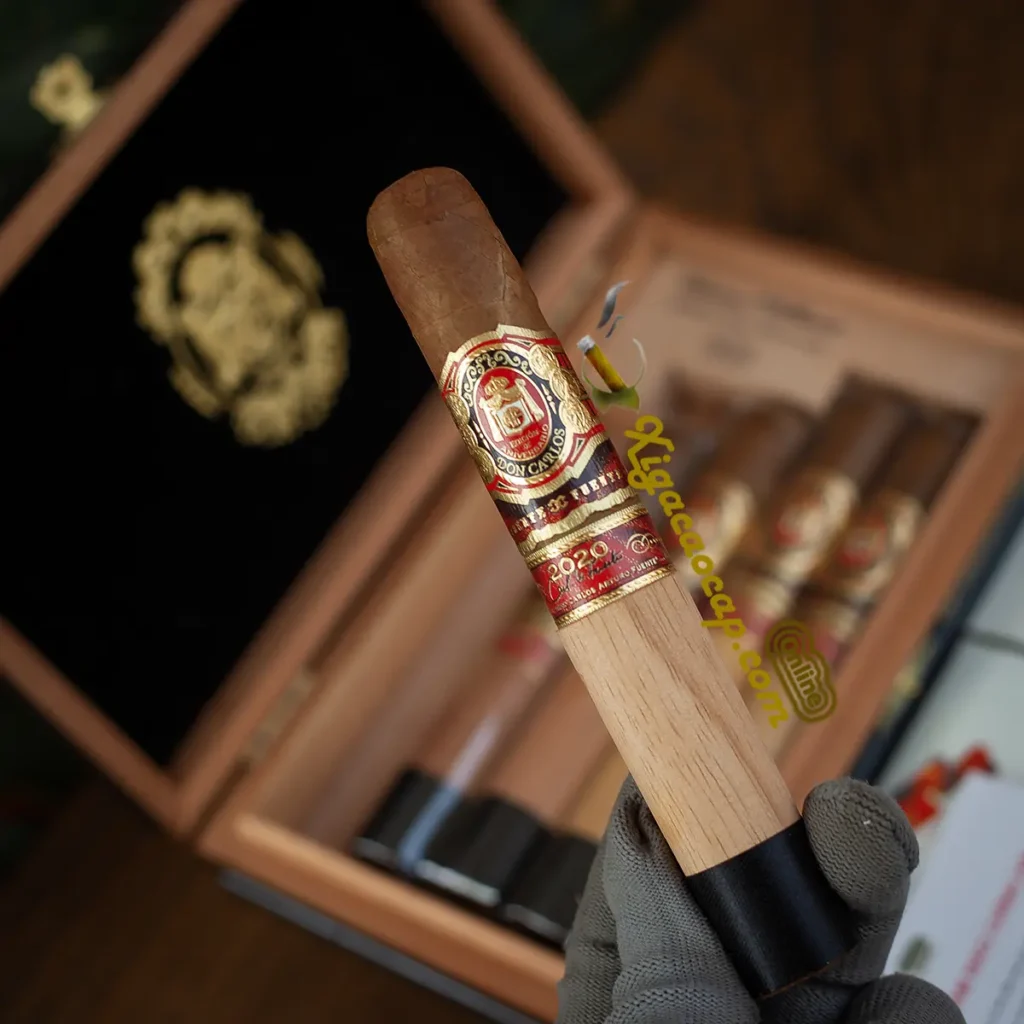 Xì gà Don Carlos Aniversario 2020 trên tay sang trọng