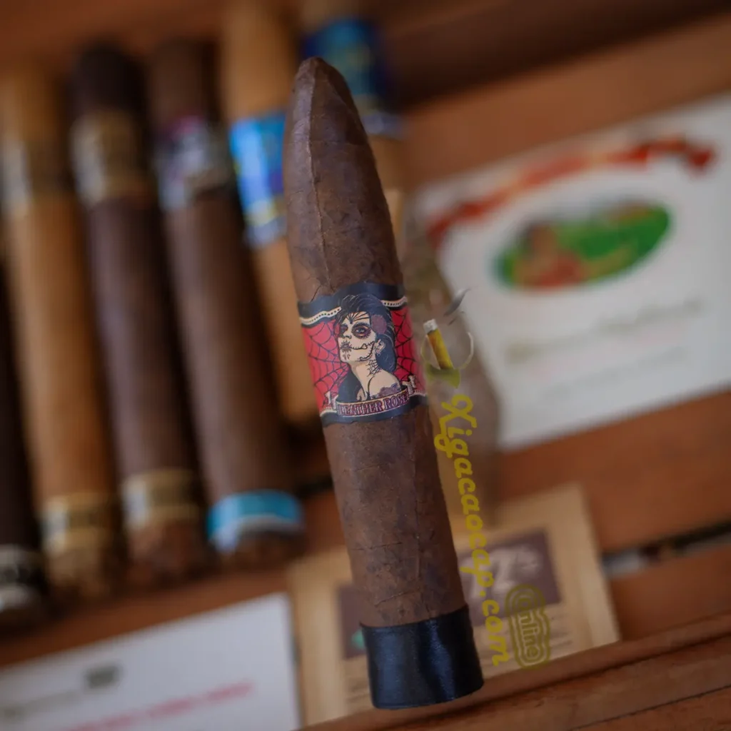 Chi tiết cấu trúc điếu xì gà Deadwood Leather Rose Torpedo lẻ 1 điếu