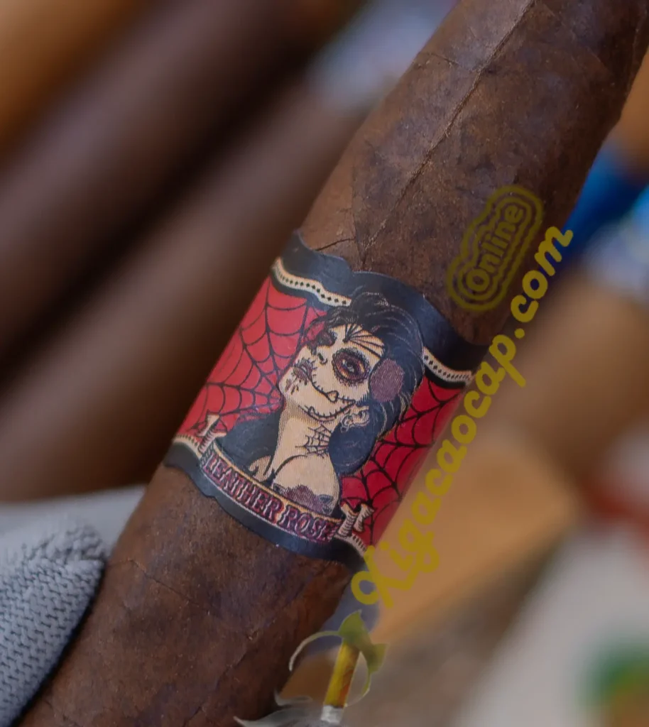 Cận cảnh tem nhãn xì gà Deadwood Leather Rose Torpedo chính hãng