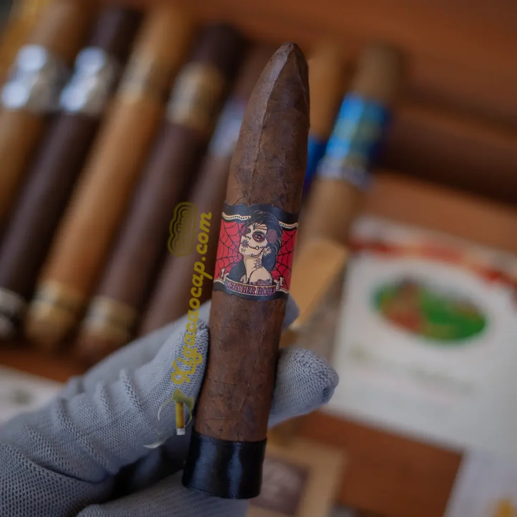 Trên tay thực tế điếu xì gà Deadwood Leather Rose Torpedo lẻ