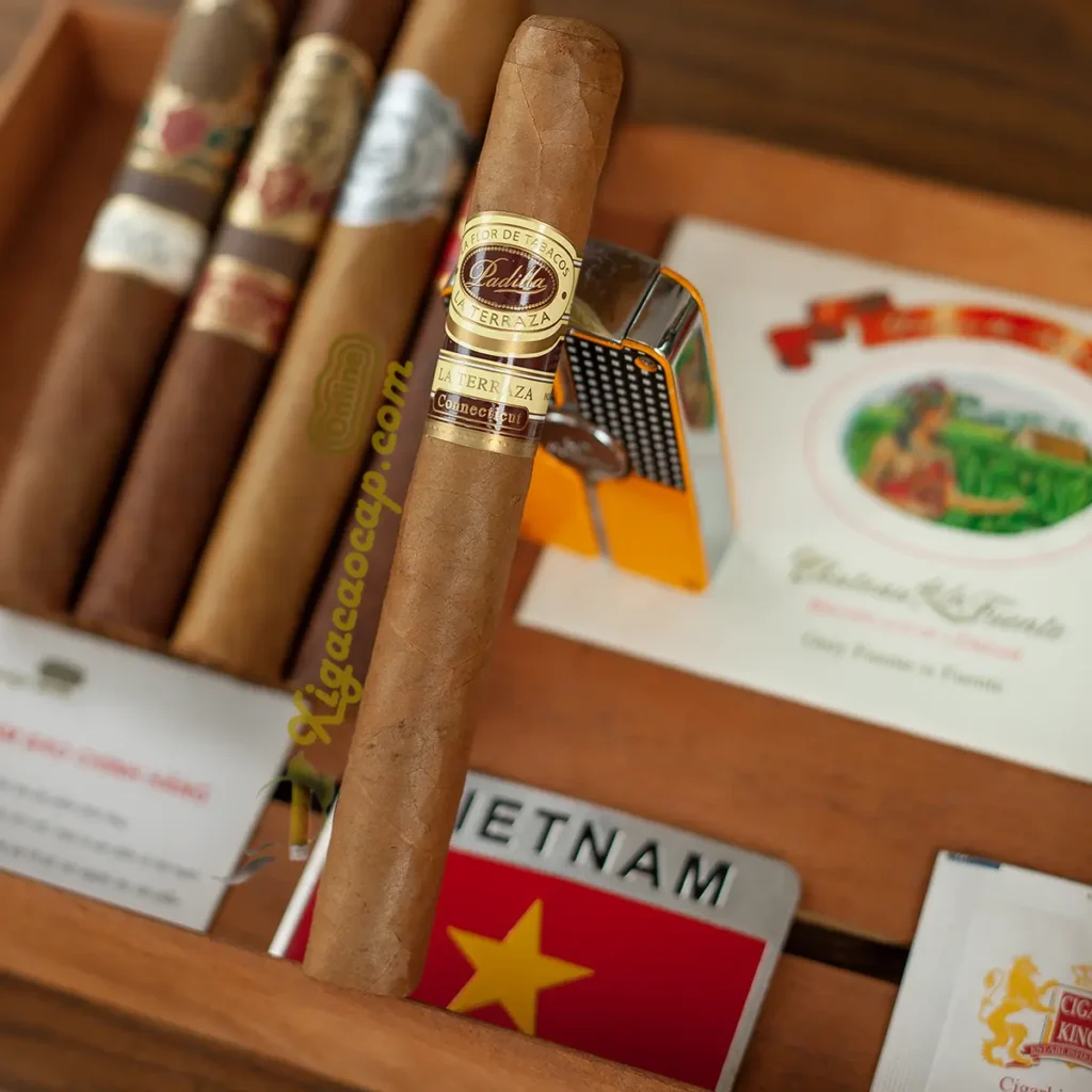 Điếu xì gà Padilla La Terraza Connecticut chính hãng lá bọc vàng óng