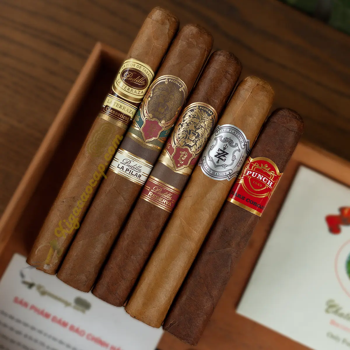 Cận cảnh 5 điếu xì gà trong gói sampler đa hương vị