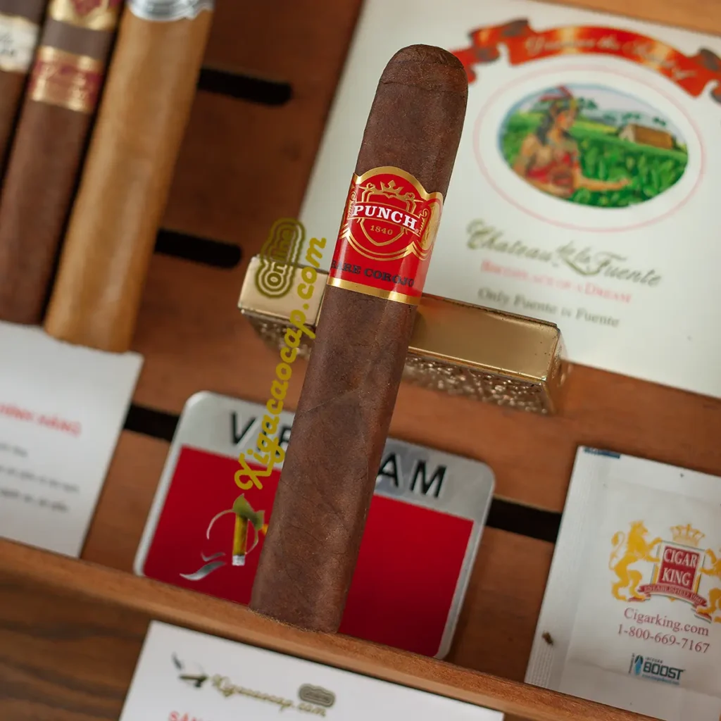 Điếu xì gà Punch Rare Corojo Rothschild chính hãng tem đỏ