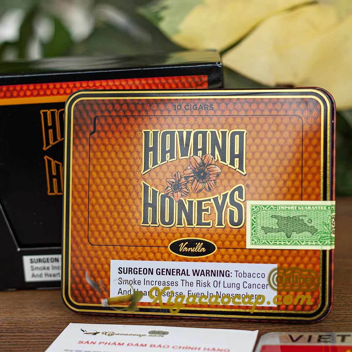 hộp thiếc xì gà Havana Honeys Vanilla 10 điếu