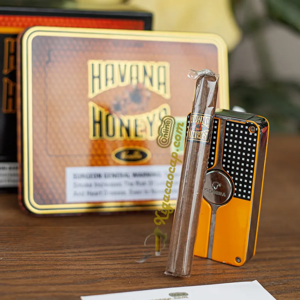 điếu xì gà Havana Honeys Vanilla trước hộp thiếc